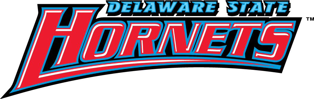 Delaware State Hornets 2004-Pres Wordmark Logo DIY iron on transfer (heat transfer)